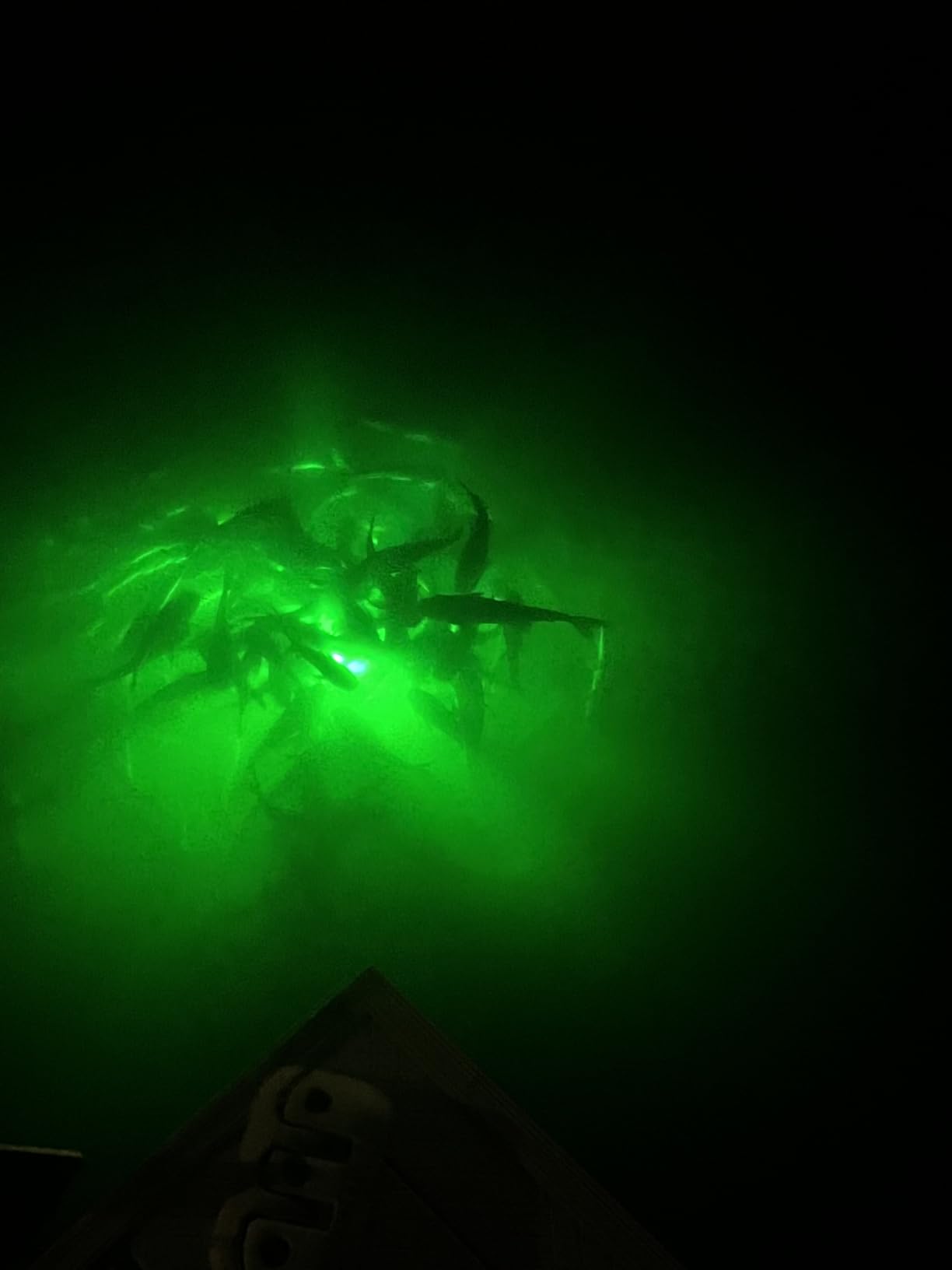 Underwater Fishing Light, 110V & 12V Super Bright Green LED Submersible Light Attractants for Docks, Boats or Kayaks, IP68 Rated for Fresh & Salt Water (30ft Cable) customer photo 1