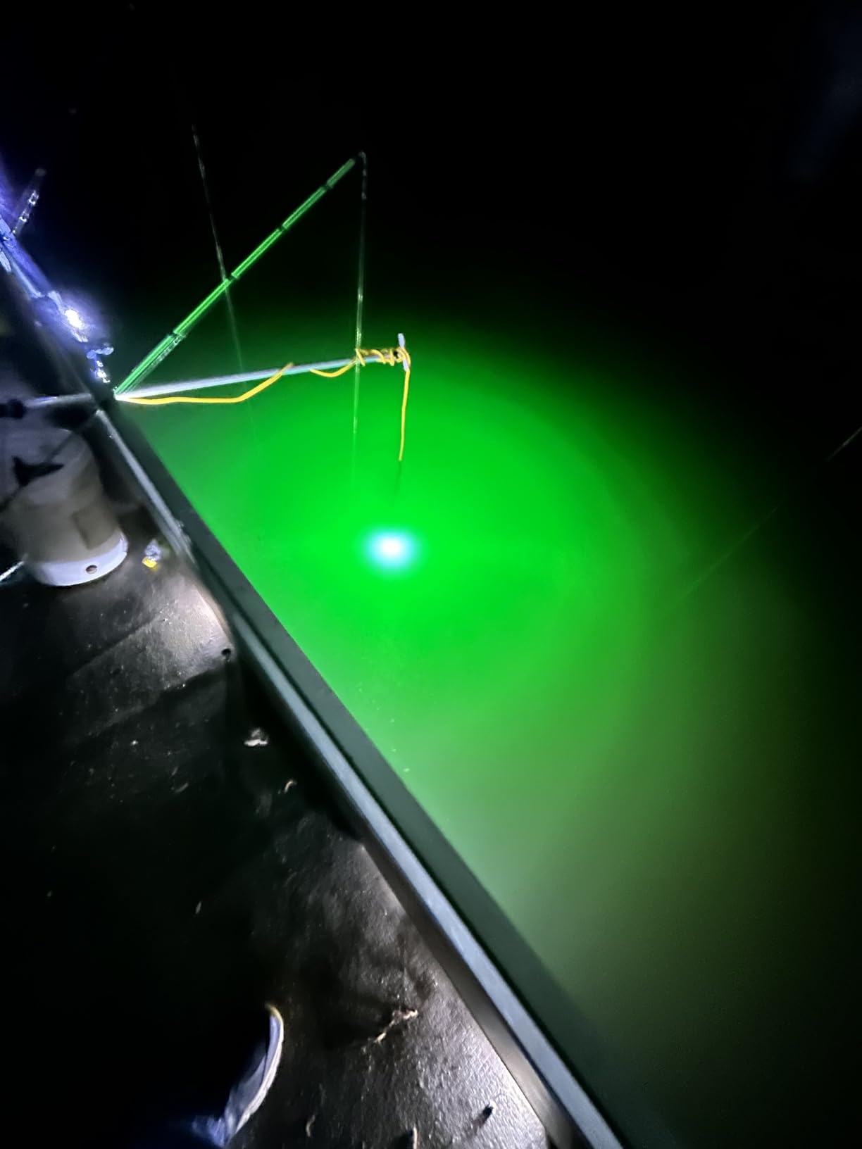 Underwater Fishing Light, 110V & 12V Super Bright Green LED Submersible Light Attractants for Docks, Boats or Kayaks, IP68 Rated for Fresh & Salt Water (30ft Cable) customer photo 2