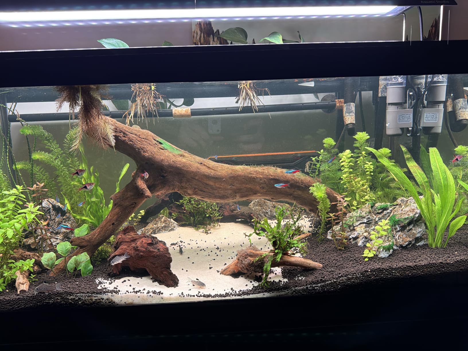 OASE CrystalSkim 600 Surface Skimmer for Freshwater and Marine Aquariums customer photo 2