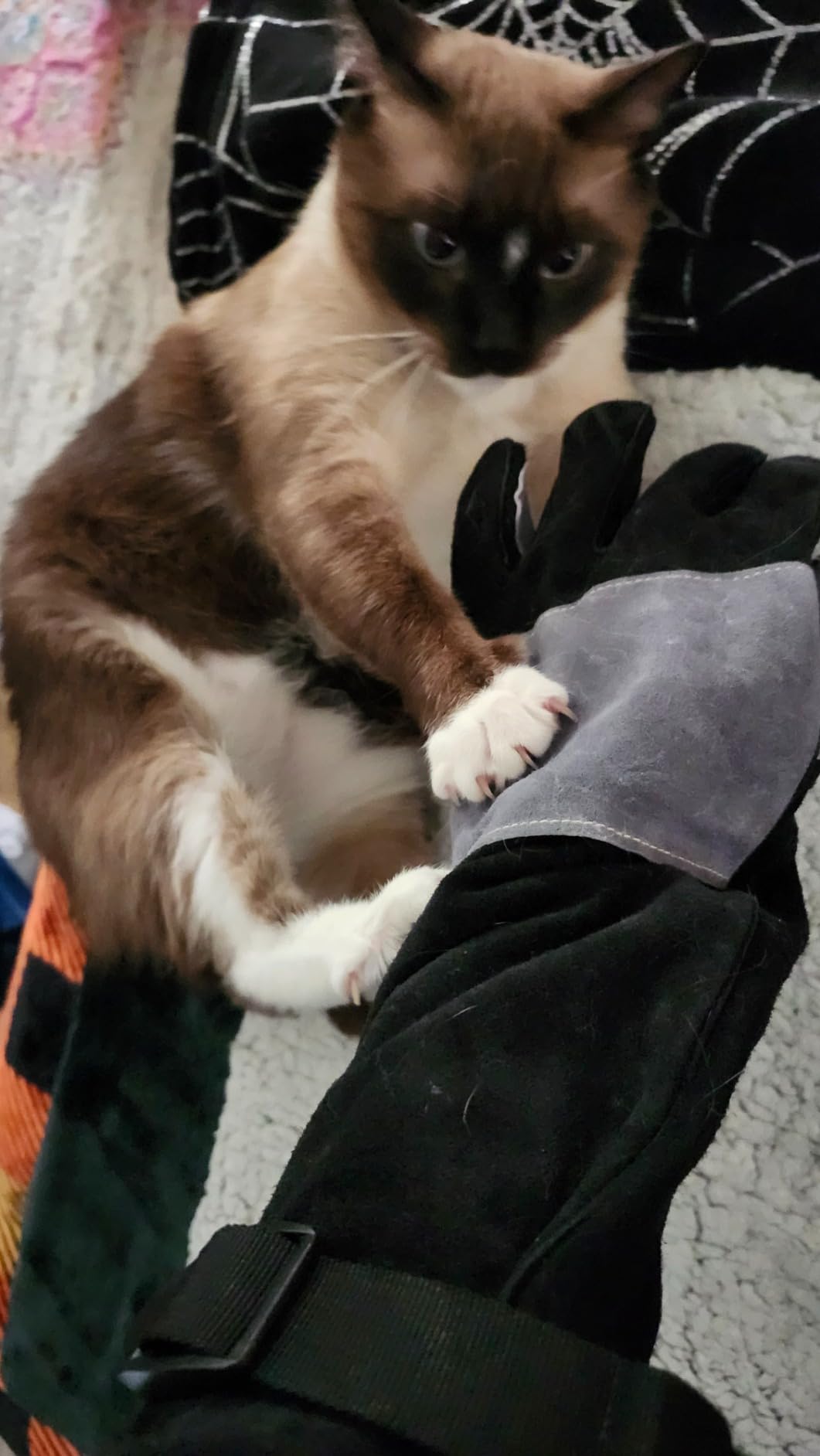 ARCCAPTAIN Leather Forge Welding Gloves, Heat/Fire Resistant 16 inches Gloves for Stick,Mig,Tig,Forge,BBQ,Grill,Fireplace,Wood Stove,Furnace,Oven,Pot customer photo 1