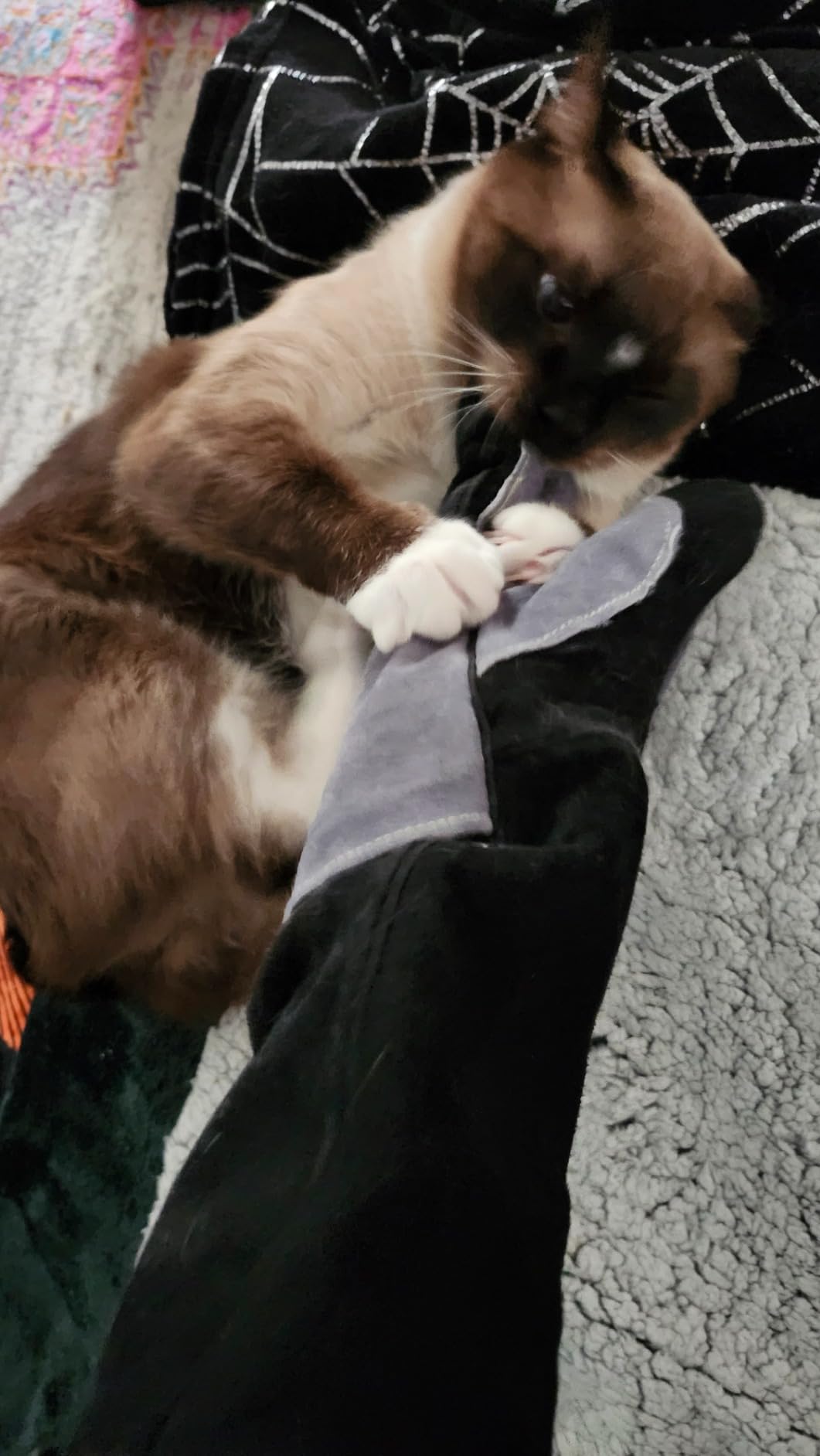 ARCCAPTAIN Leather Forge Welding Gloves, Heat/Fire Resistant 16 inches Gloves for Stick,Mig,Tig,Forge,BBQ,Grill,Fireplace,Wood Stove,Furnace,Oven,Pot customer photo 2