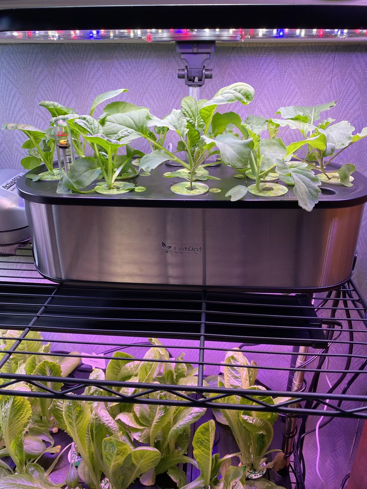 LetPot LPH-SE Hydroponics Growing System, 12 Pods Smart Herb Garden Kit Indoor, APP & WiFi Controlled, with 24W Growing LED, 5.5L Water Tank, Pump System, Automatic Timer customer photo 1
