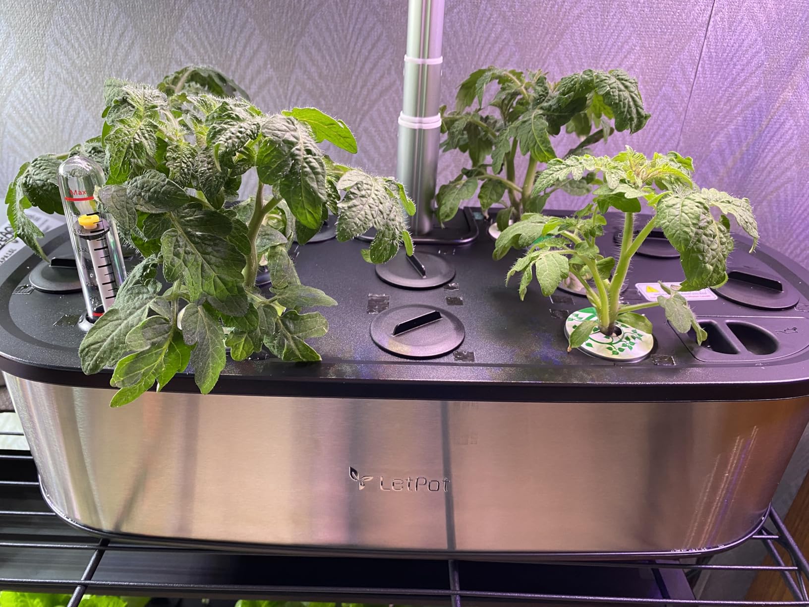 LetPot LPH-SE Hydroponics Growing System, 12 Pods Smart Herb Garden Kit Indoor, APP & WiFi Controlled, with 24W Growing LED, 5.5L Water Tank, Pump System, Automatic Timer customer photo 2