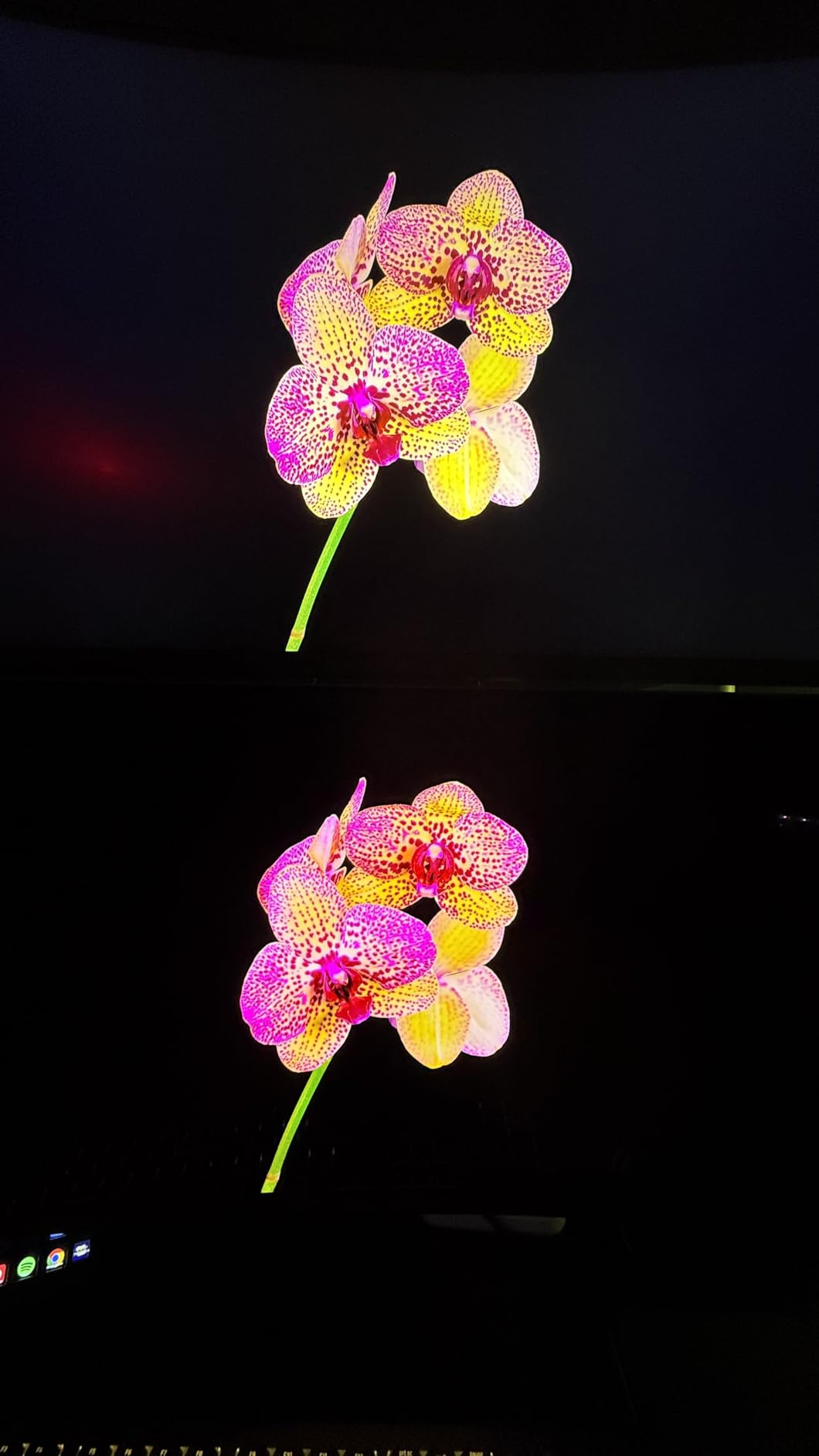 Alienware AW3423DWF Curved QD-OLED Gaming Monitor - 34-inch Quantum Dot OLED 0.1Ms 165Hz 21:9 Curved Display, 99.3% DCI-P3 Color Gamut, VESA DisplayHDR True Black 400, AMD FreeSync Premium Pro - Black customer photo 2