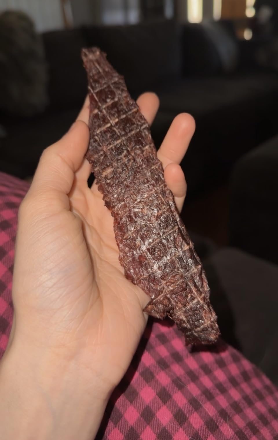 Magic Mill Pro Food Dehydrator Machine | Powerful 600W Rear Fan Even-Drying System | 7 Full-Size Stainless Steel Trays | 95°-176° Temperature Control, 48H Timer, Keep Warm + Auto Shutoff | ETL Listed customer photo 1