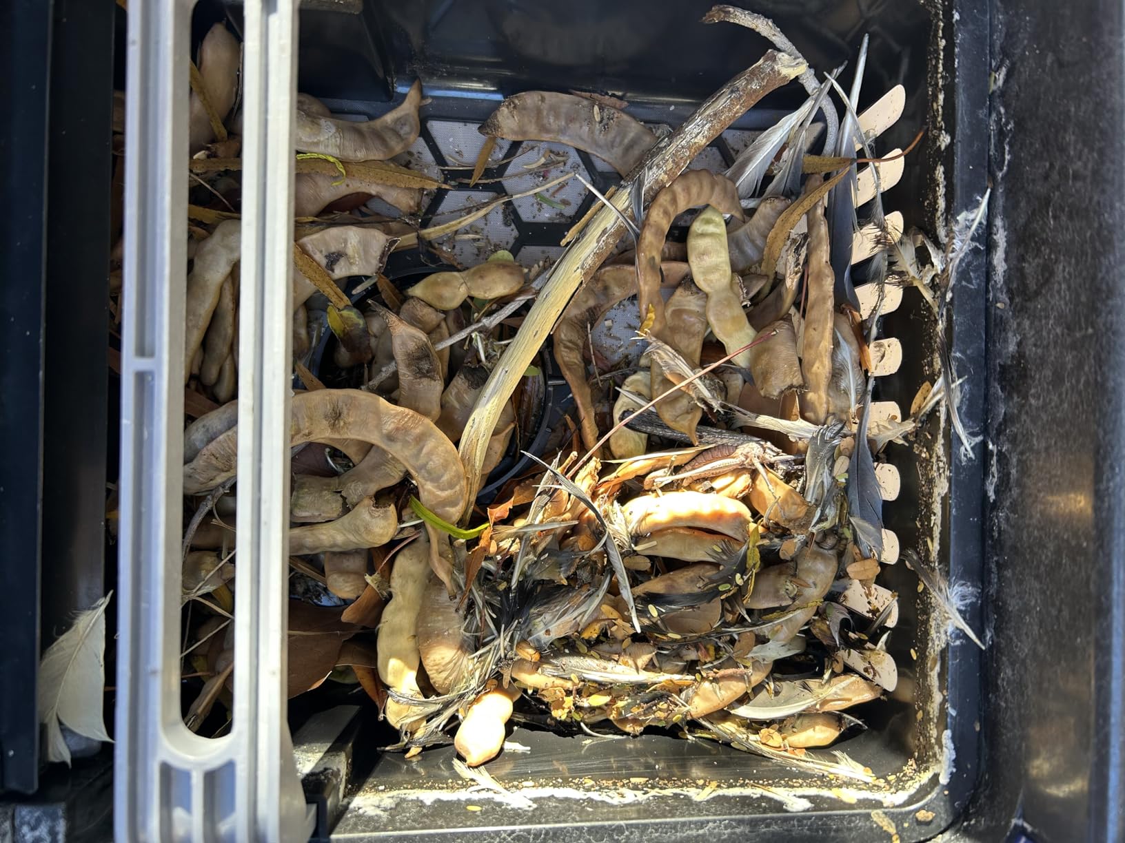 Betta SE Solar Powered Automatic Robotic Pool Surface Skimmer Cleaner with 24/7 Continuous Cleaning Battery Power and Re-Engineered Twin Salt Chlorine Tolerant Motors (Blue) customer photo 1