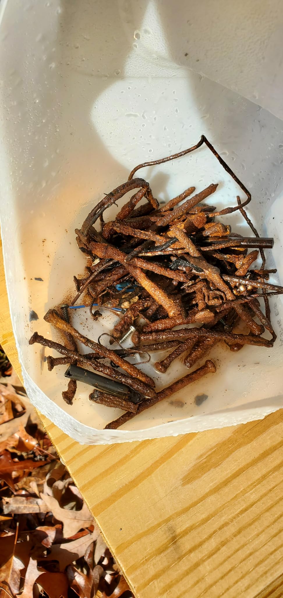 MINELAB X-Terra PRO All-Terrain Professional Fully Waterproof Metal Detector for Adults with Pro-Switch Technology customer photo 2