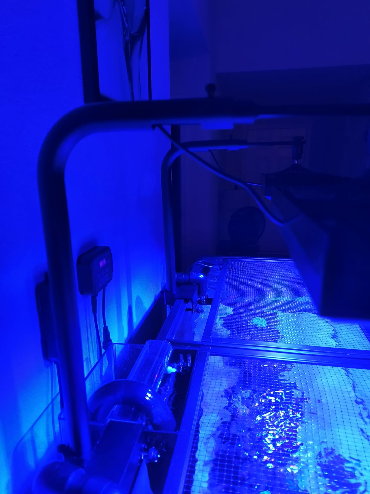 Aquarium Light-60 Watts Reef Light High Penetration Wide Coverage Sunrise Sunset Moonlight Saltwater Lights for Coral with Master Slave Group Control & Timer & Screen customer photo 2