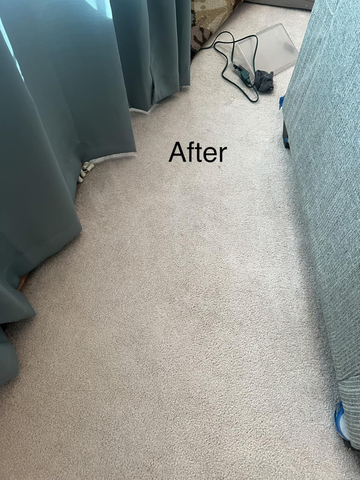 Hoover PowerDash Pet+ Compact Carpet Cleaner Machine, Lightweight Carpet Shampooer Machine, Pair with a Hoover Carpet Cleaner Solution for a Bright, Refreshed Home customer photo 2