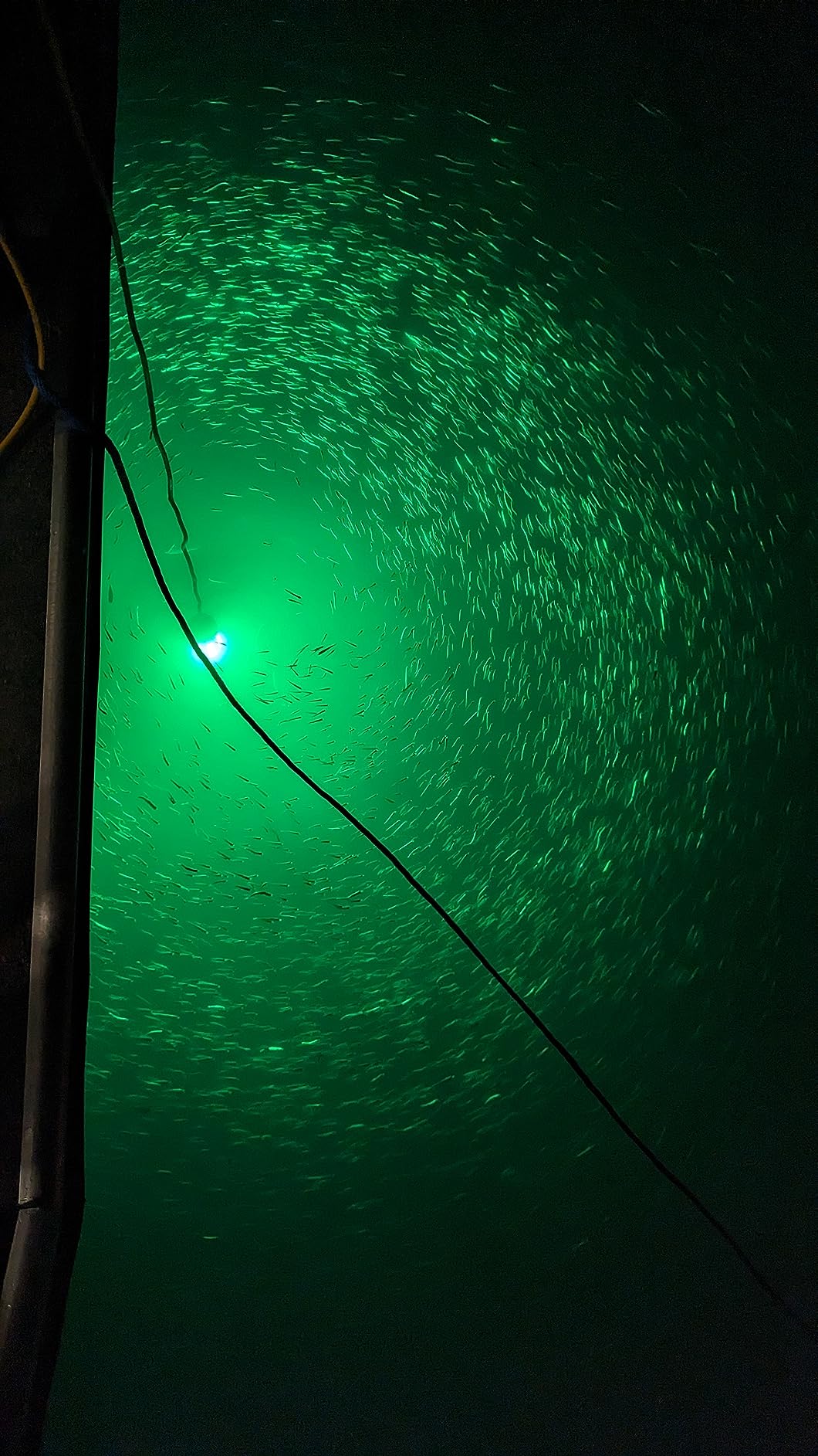 Underwater Fishing Light with Controller (Dimmer & Timer), 110V & 12V Super Bright Green LED Submersible Light Attractants for Docks, Boats or Kayaks, IP68 Rated for Fresh & Salt Water customer photo 1