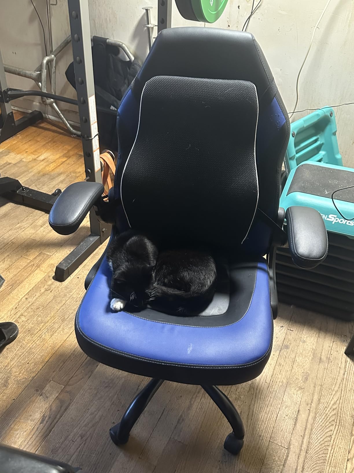 Sweetcrispy Computer Video Game Chair - Ergonomic Home Office with Comfy Lumbar Support, PU Leather Height Adjustable with Flip-up Armrest and 360° Swivel Wheels, Blue, for Adults, Teens customer photo 1