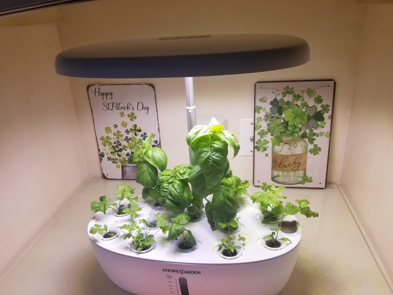 Ahopegarden Indoor Garden Hydroponics Growing System: 12 Pods Plant Germination Kit Garden Kit Growth Lamp Countertop with LED Grow Light customer photo 1