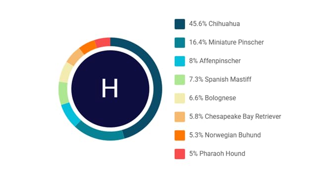 DNA Test for Dogs Starter - (Breeds and Traits Reports) - Updates at no cost customer photo 1