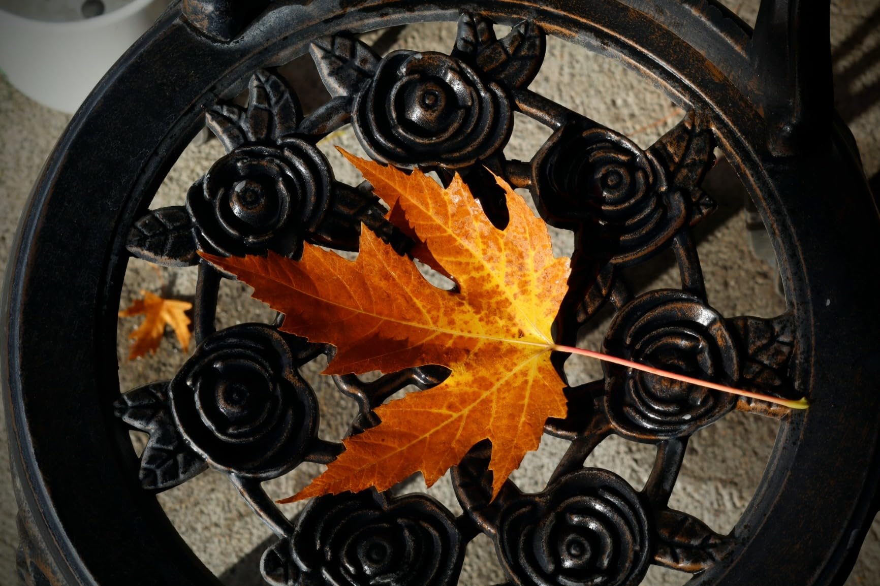 Canon EOS R100 Mirrorless Camera, RF Mount, 24.1 MP, DIGIC 8 Image Processor, Continuous Shooting, Eye Detection AF, Full HD Video, 4K, Small, Lightweight, Wi-Fi, Bluetooth, Content Creation customer photo 2