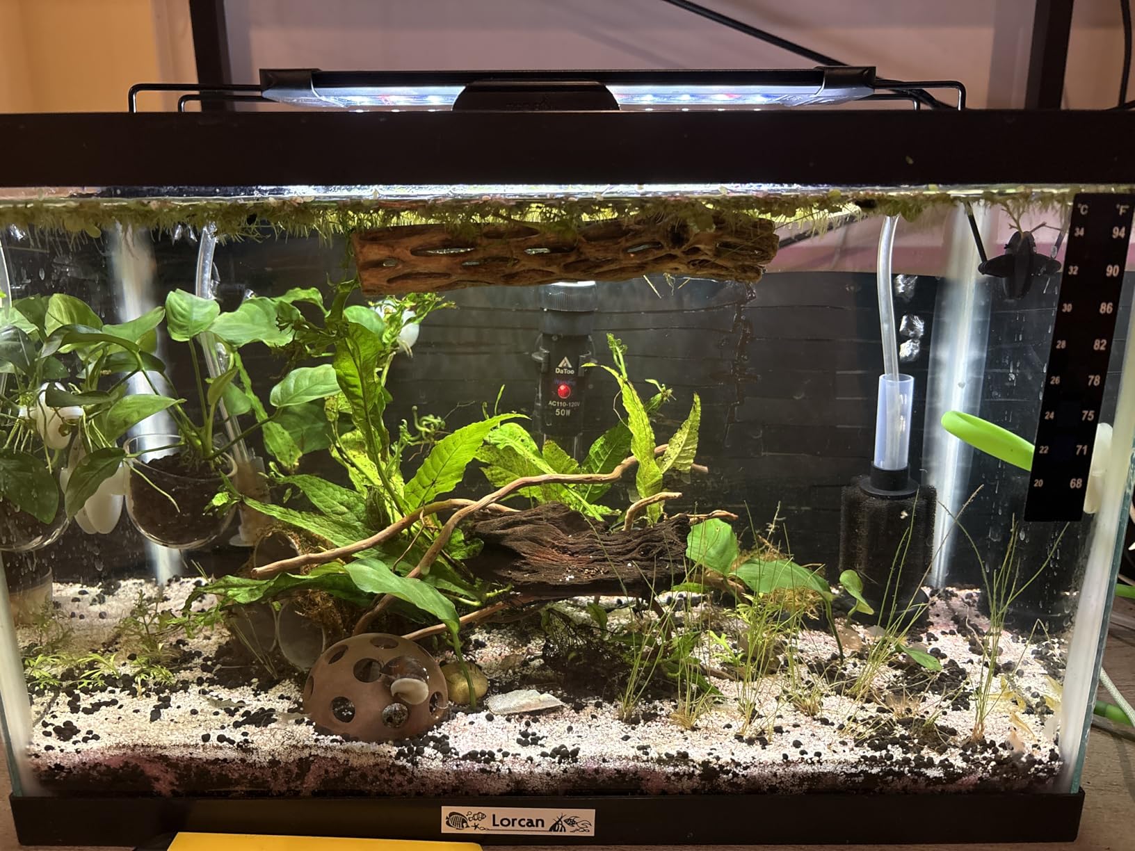 Pawfly 11W Aquarium LED Light for 12 to 18 Inch Fish Tanks Extendable Fish Tank Light with Full Spectrum Brilliant White Blue Red Lights with Daytime & Night Modes and Adjustable Brightness customer photo 1