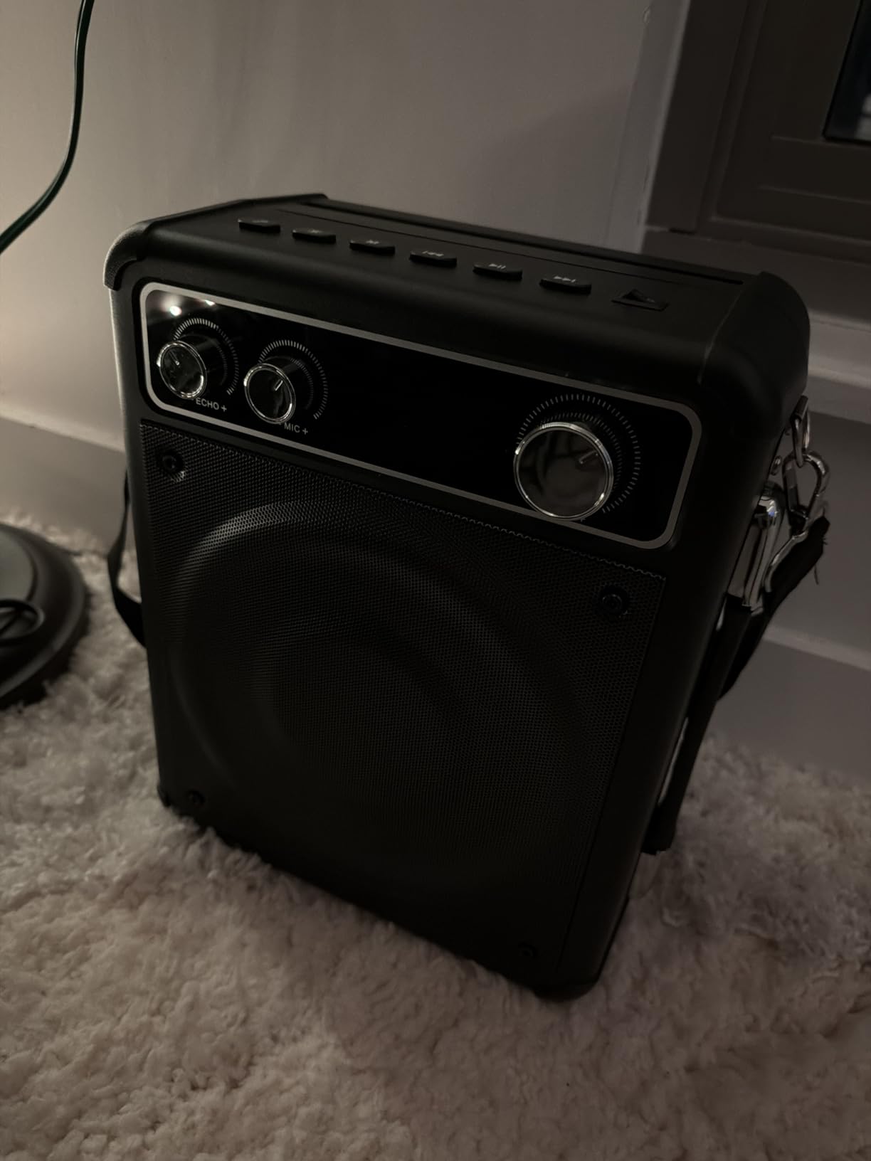 Karaoke Machine with 2 Wireless Microphones, Portable Bluetooth Speaker for Adults Kids, PA Systems Support TWS Echo Adjust TF USB AUX for Home Party Outdoor Travel customer photo 2