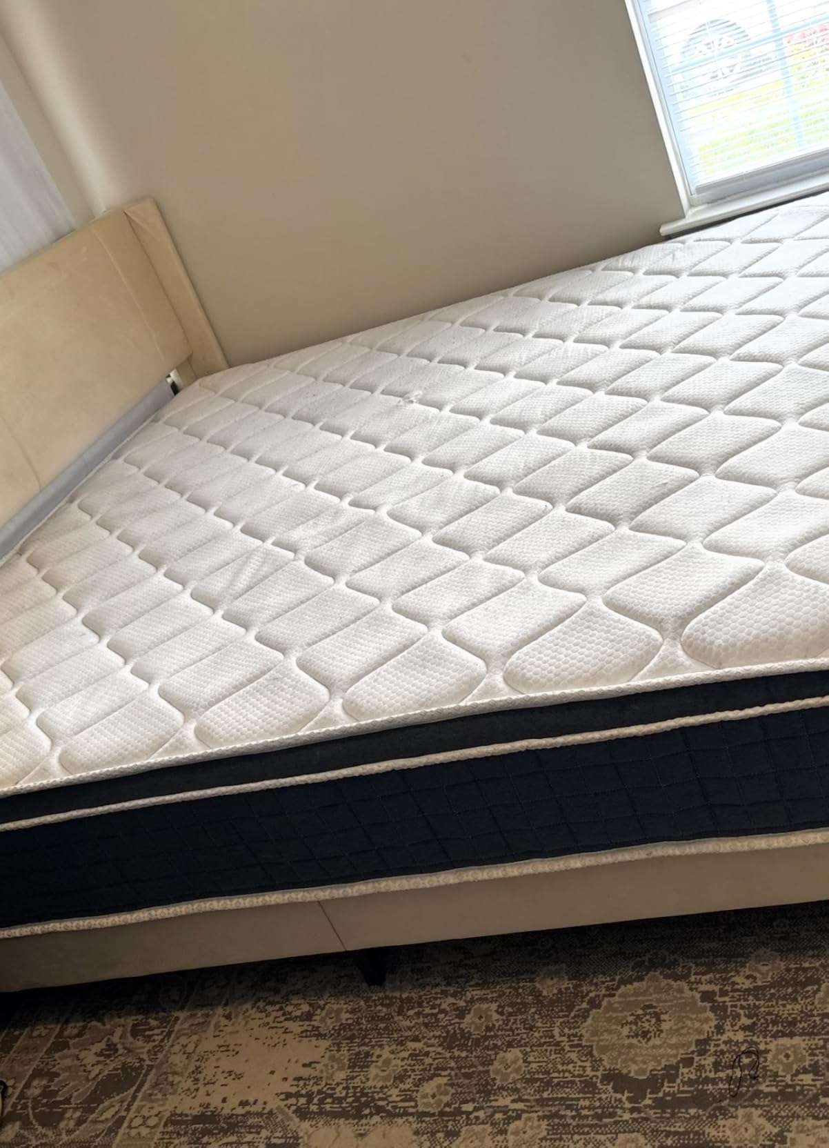 BISSELL TurboClean Pet XL Upright Carpet Cleaner, Upholstery Tough Stain Tool & Formula included, 3746 customer photo 1