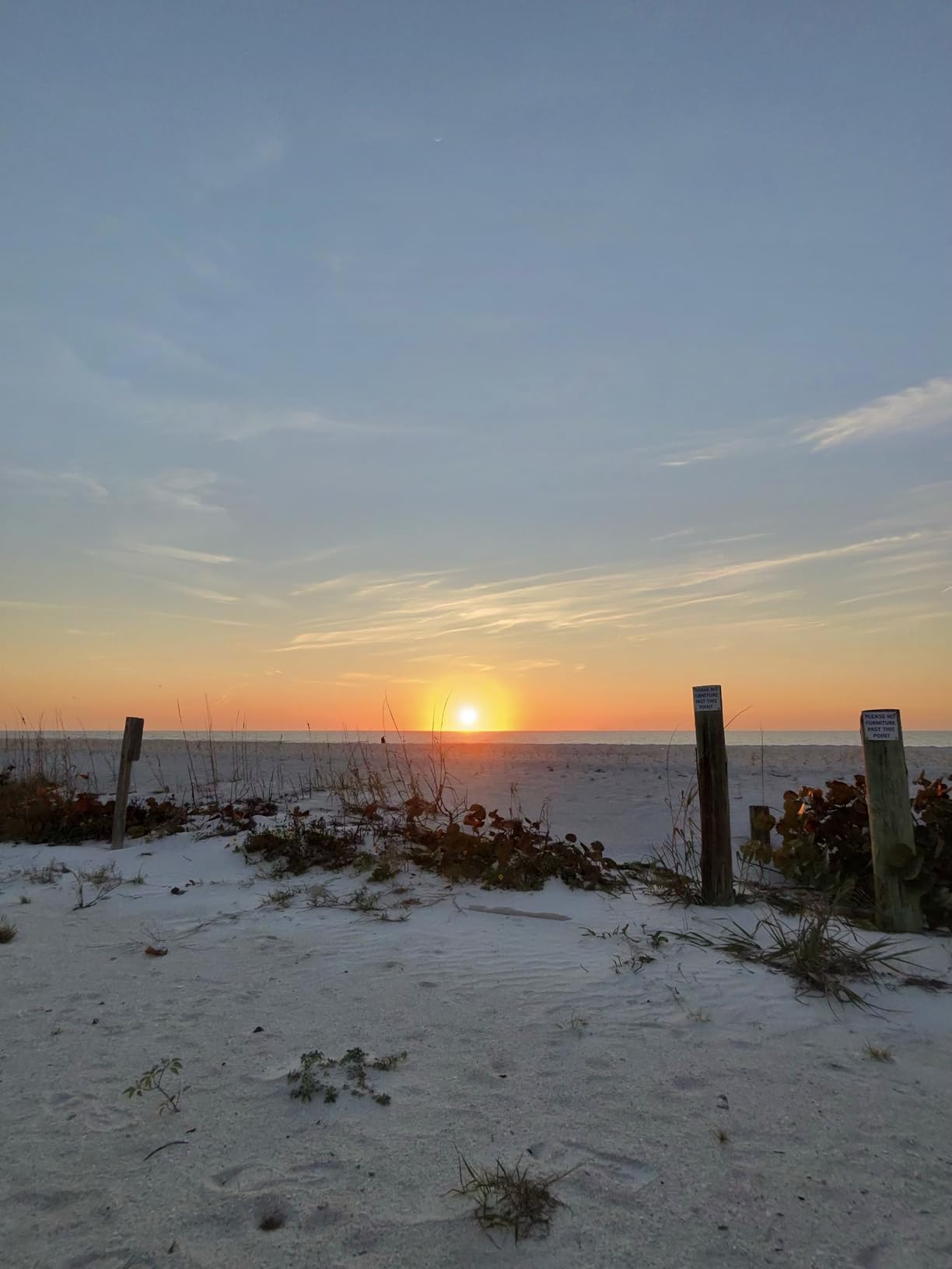 Ray-Ban Meta (Gen 1), Wayfarer, Shiny Black | Smart AI Glasses for Men, Women - 12 MP Ultra-Wide Camera, Open-Ear Speakers for Audio, Video Recording and Bluetooth - Green Lenses - Wearable Technology customer photo 2