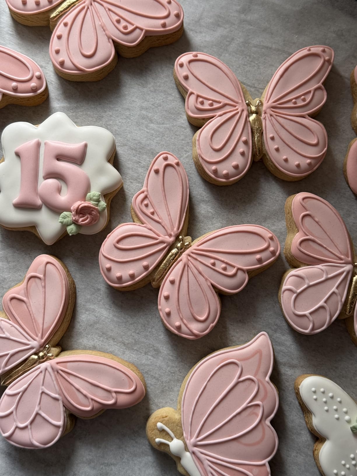 COSORI Food Dehydrator for Jerky, 176°F Temperature Control, 5 Stainless Steel Trays with 5.1 ft² Drying Space, 4 Presets, 48H Timer, for Dog Treats, Meat, Fruit, Veggies, Snacks, Bright-Silver customer photo 1