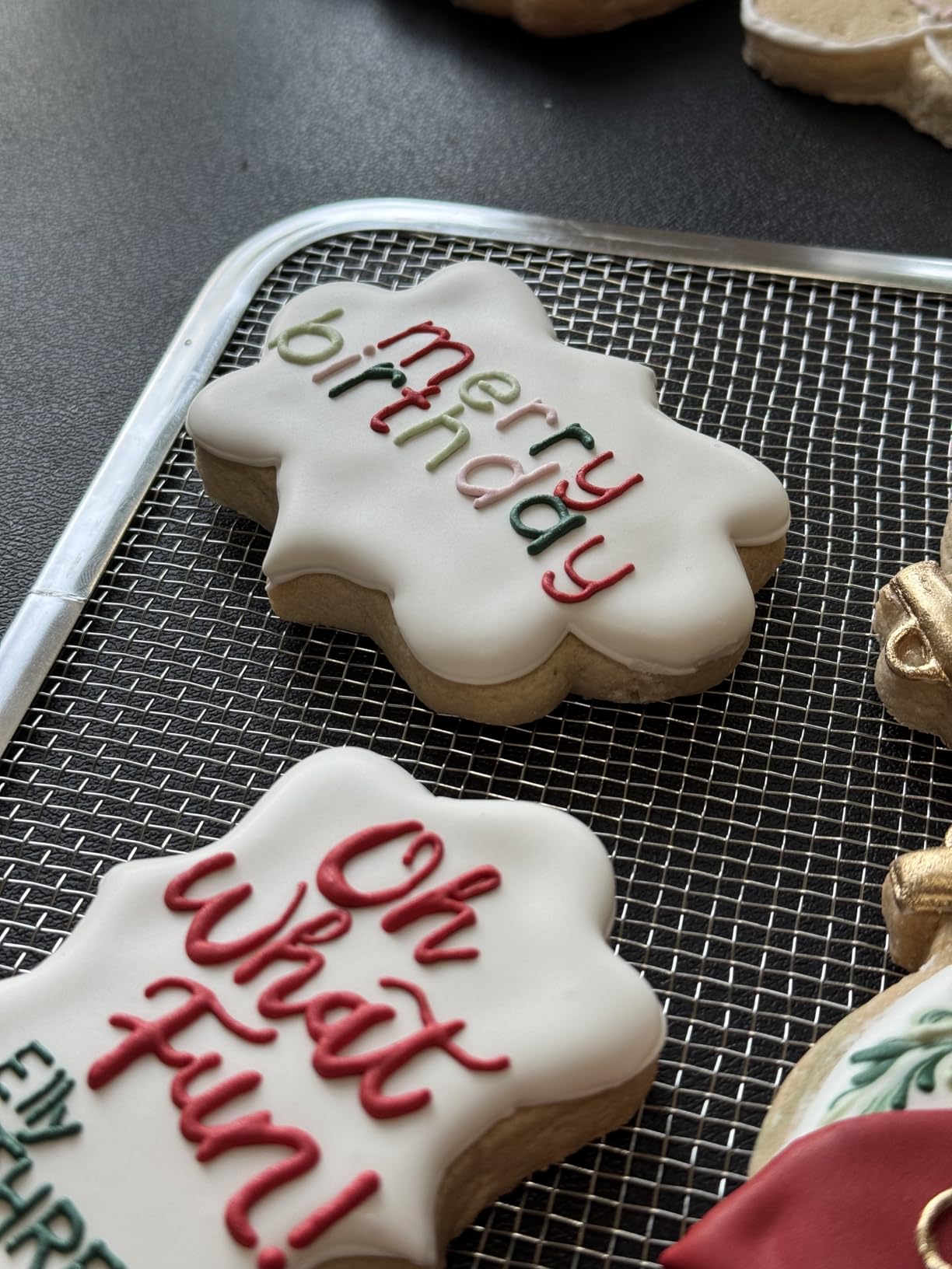 COSORI Food Dehydrator for Jerky, 176°F Temperature Control, 5 Stainless Steel Trays with 5.1 ft² Drying Space, 4 Presets, 48H Timer, for Dog Treats, Meat, Fruit, Veggies, Snacks, Bright-Silver customer photo 2