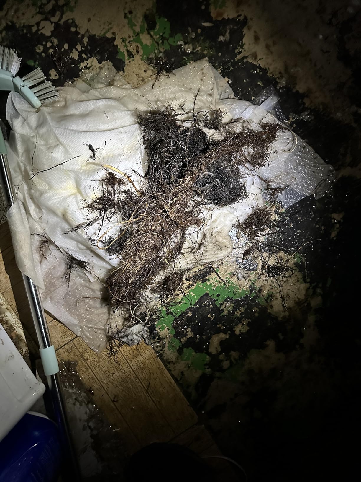 SKIL PWR CORE 12/20V Cordless Power Snake Drain Cleaner Kit, Includes 20V 2.0Ah Lithium Battery & 20V Charger - AU0225D-12 customer photo 1