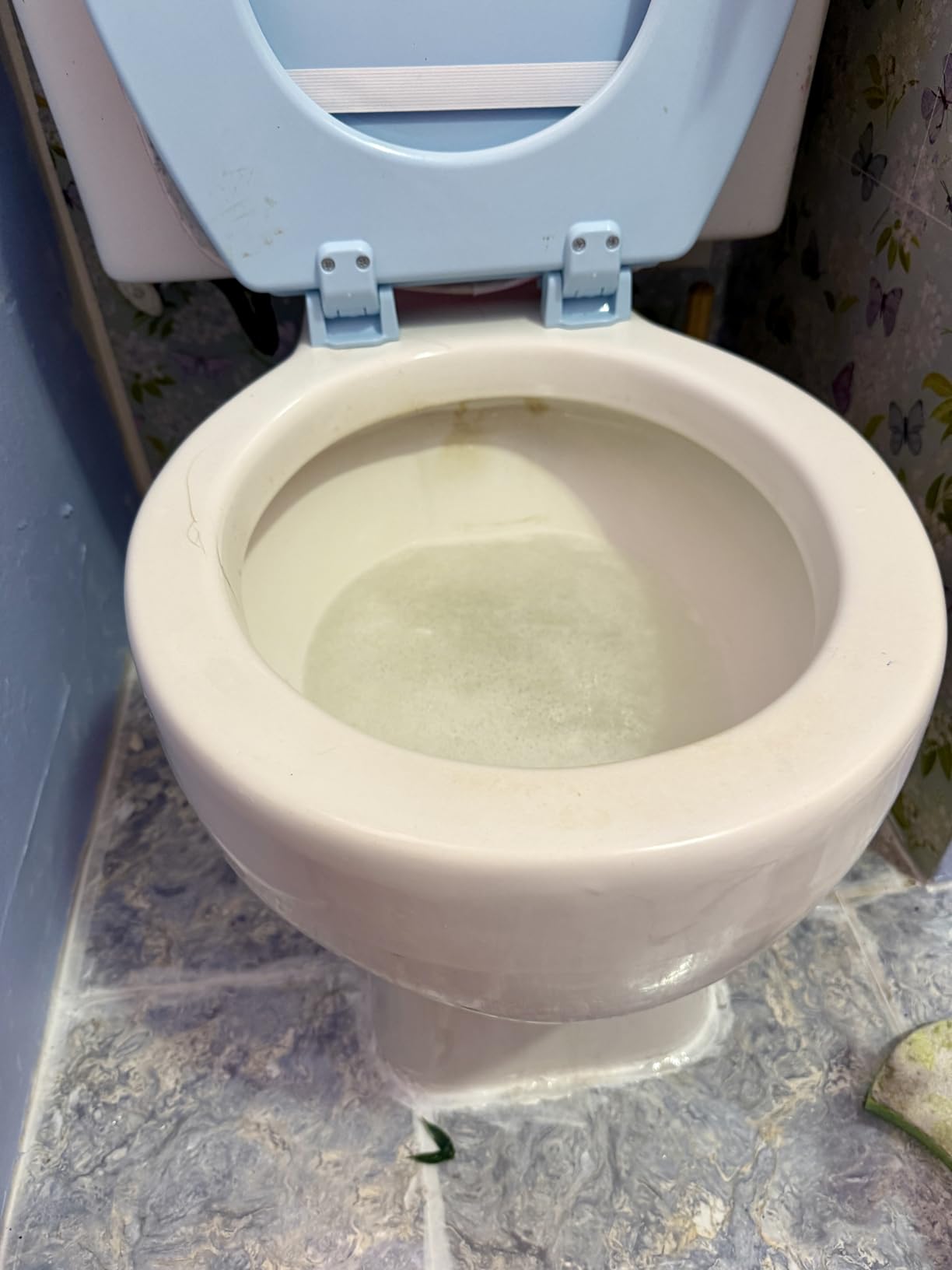 Pressurized Handheld Steam Cleaner with 10pcs Accessories & Safety Lock, Multi-Purpose & Powerful Home Use Steamer for Cleaning, Car, Bathroom, Shower, Upholstery, Grout, Window customer photo 1