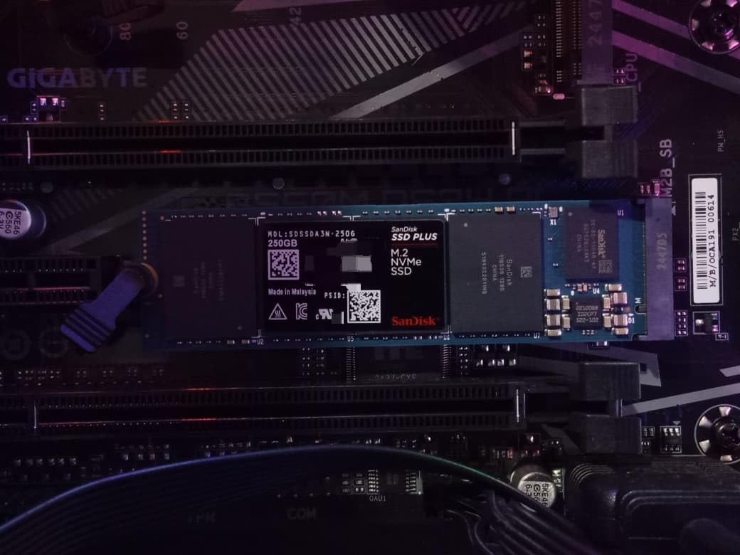 SanDisk 1TB SSD Plus M.2 NVMe SSD - PCIe Gen 3.0, Up to 3,200 MB/s customer photo 1