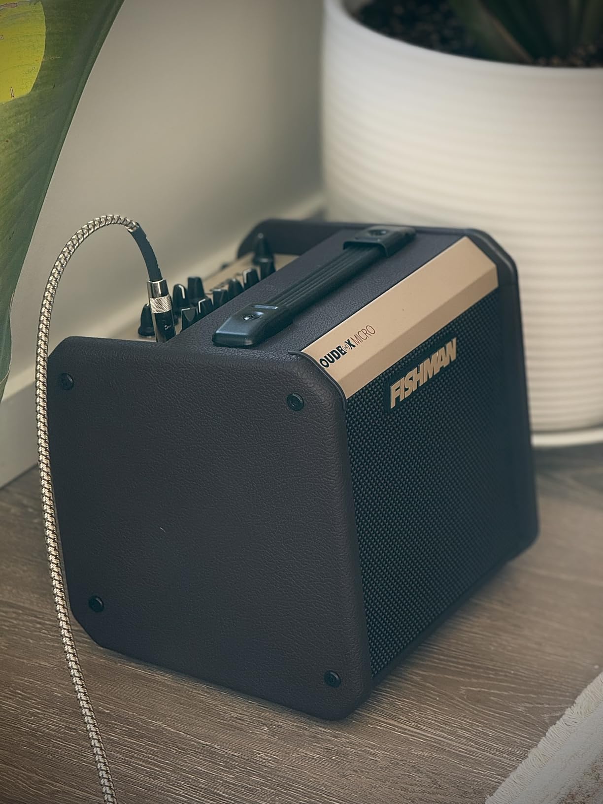 Fishman Loudbox Micro 40-watt 1 x 5.25-inch Acoustic Combo Amp customer photo 1