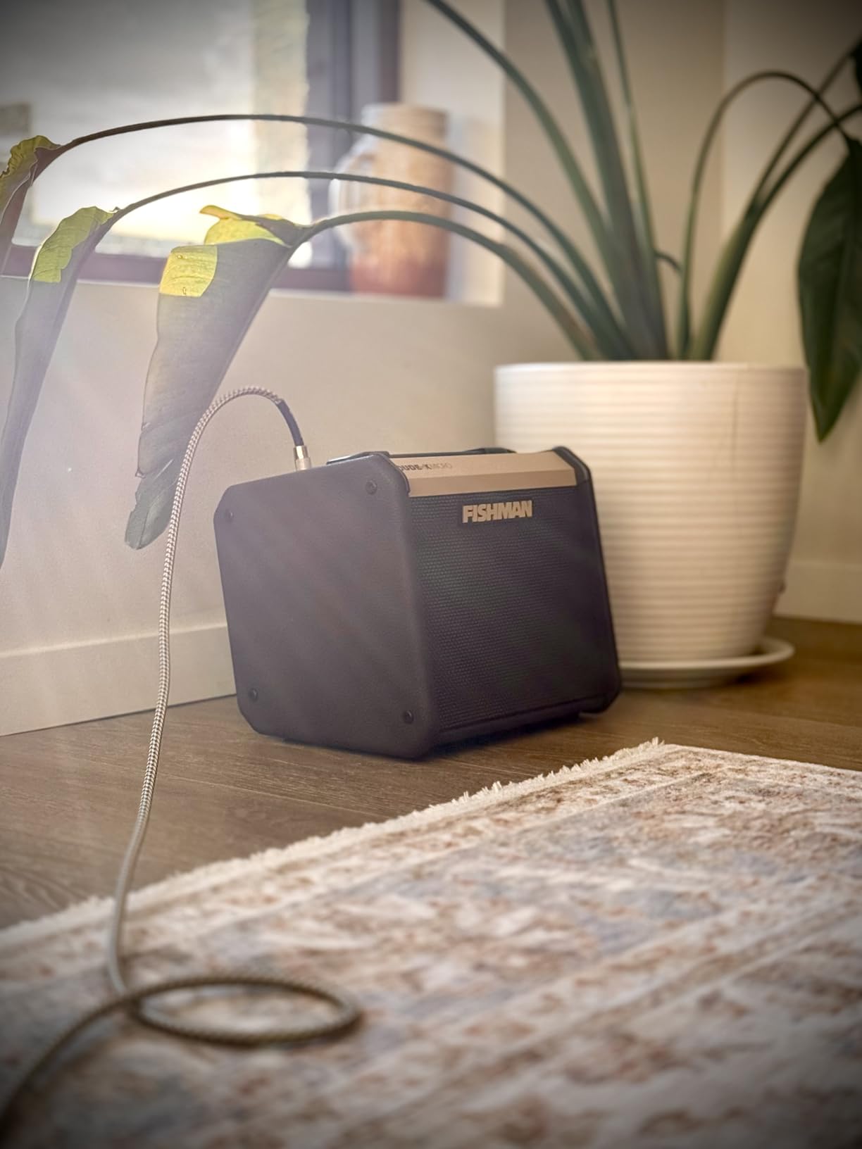 Fishman Loudbox Micro 40-watt 1 x 5.25-inch Acoustic Combo Amp customer photo 2