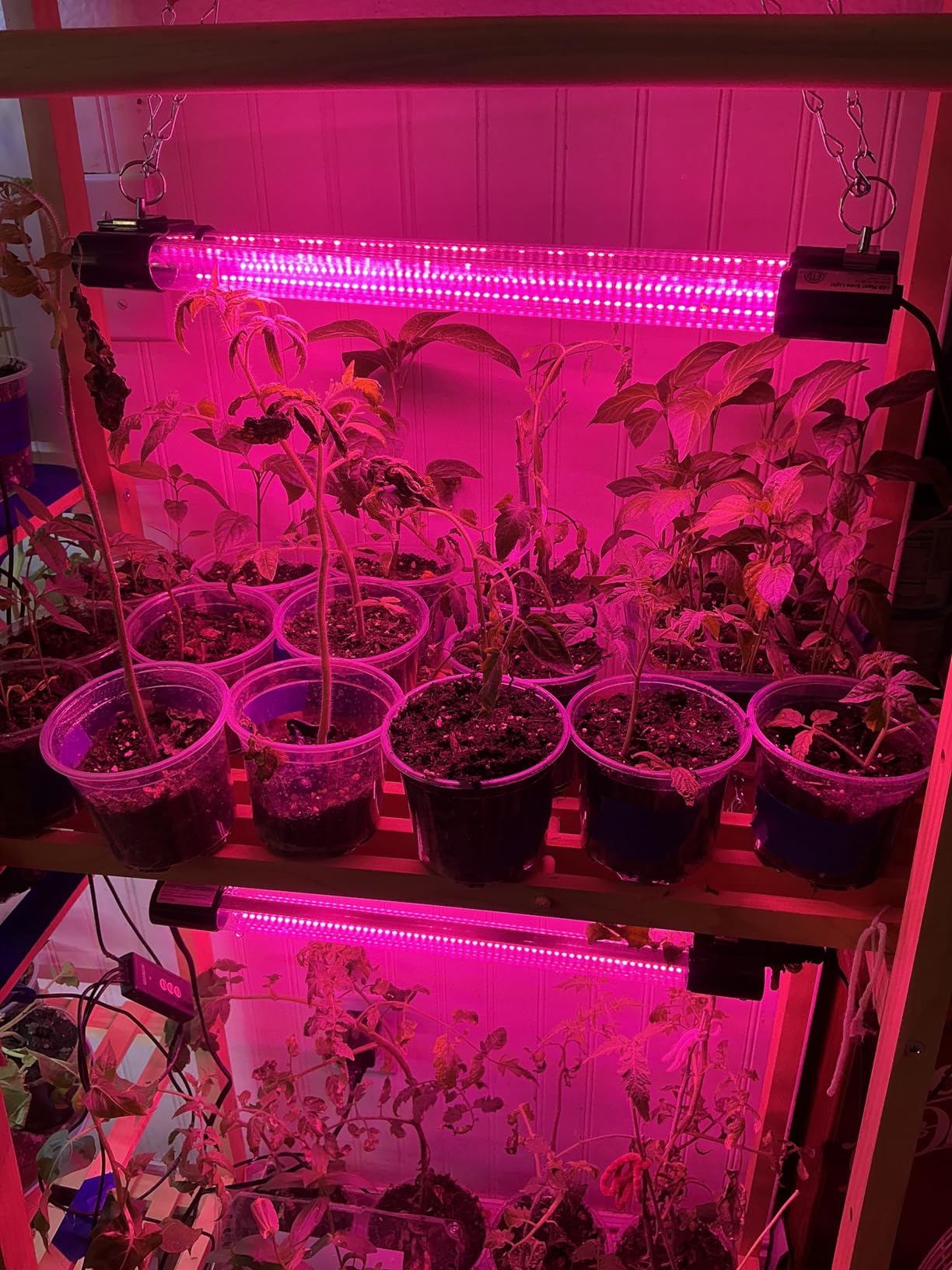 Hlite 16inch 4 Pack LED Grow Lights - Linkable Grow Lights for Indoor Plants, Full Spectrum Plant Lights Plug and Hanging Design with On/Off Switch Hanging Grow Light from seedling to Flowering, Black customer photo 1