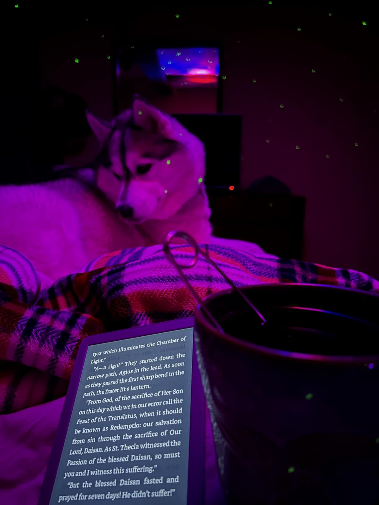 Amazon Kindle 16 GB (newest model) - Lightest and most compact Kindle, now with faster page turns, and higher contrast ratio, for an enhanced reading experience - Matcha customer photo 2