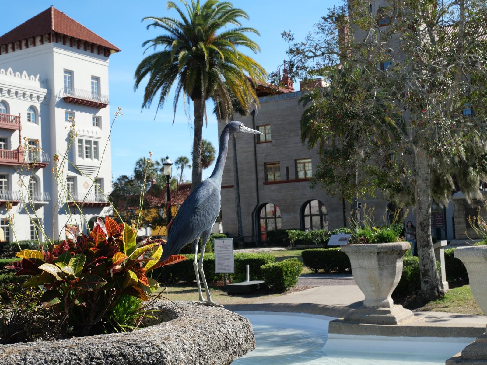 Panasonic LUMIX G100 4k Mirrorless Camera for Photo and Video, Built-in Microphone with Tracking, Micro Four Thirds Interchangeable Lens System, 12-32mm Lens, 5-Axis Hybrid I.S., DC-G100DKK (Black) customer photo 2