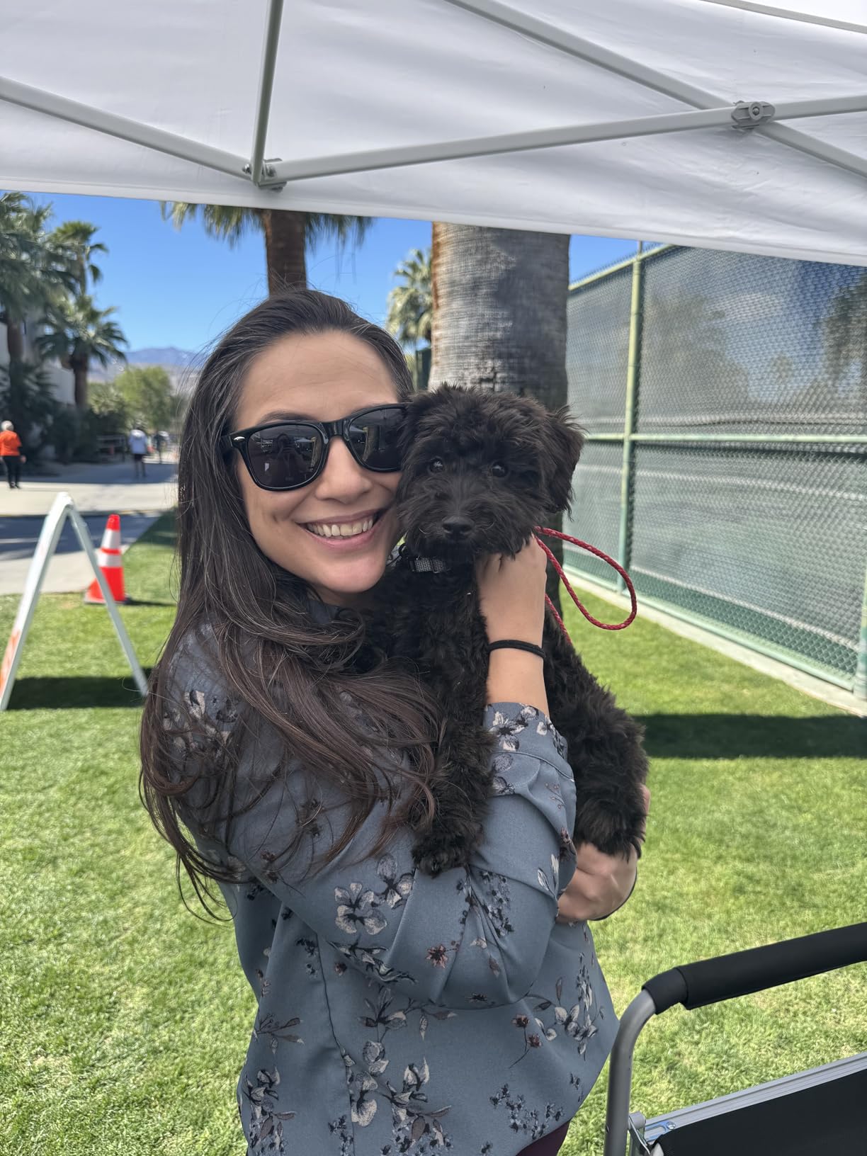 Dog Grooming Kit with Vacuum, 15000Pa Pet Hair Clipper and Shedding Brush, 50dB Low Noise, 2L Capacity, White customer photo 2