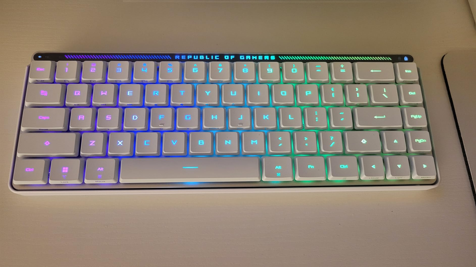 ASUS ROG Falchion RX Low Profile Wireless Gaming Keyboard - 65% Compact TKL, Tri-Mode Connectivity, ROG RX Red Optical Switches, RGB, Touch Panel, Keyboard Cover, PC/Mac Support - White customer photo 2