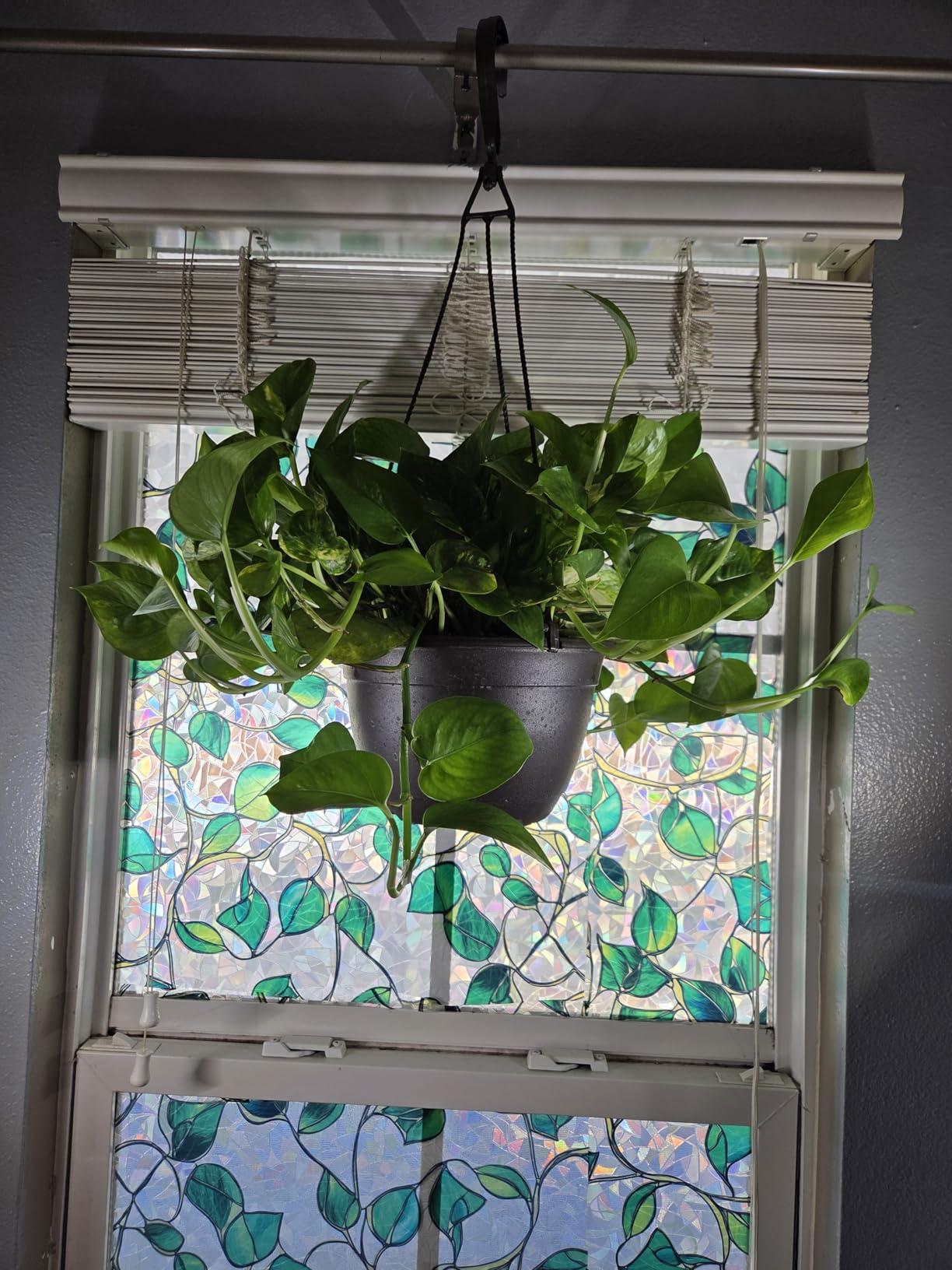 Grow Lights Upgrade 168 LEDs Clip Plant Lights for Indoor Plants, Full Spectrum White+ Red LED Plant Growing Lamps with Flexible Gooseneck, 3/9/12H Timer, 3 Spectral Modes, 10 Dimmable Levels 2 Pack customer photo 1