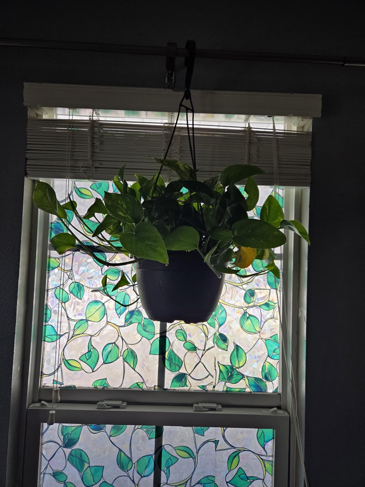 Grow Lights Upgrade 168 LEDs Clip Plant Lights for Indoor Plants, Full Spectrum White+ Red LED Plant Growing Lamps with Flexible Gooseneck, 3/9/12H Timer, 3 Spectral Modes, 10 Dimmable Levels 2 Pack customer photo 2