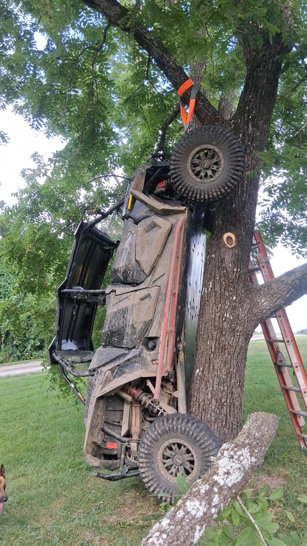Rough Country 4,500 LB UTV/ATV Winch - ProSeries 1.4HP Electric Winch with 50 Ft Synthetic Rope, Remote, Waterproof 12V Off-Road Recovery System customer photo 1