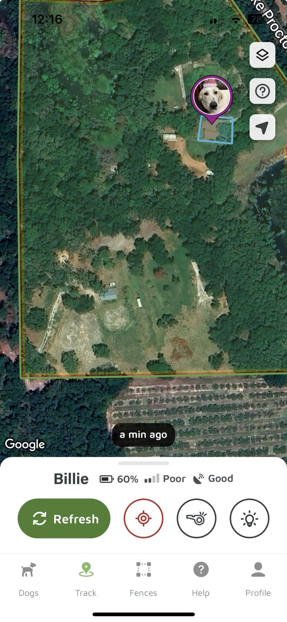 SpotOn GPS Wireless Dog Fence Collar, Accurate & Reliable, Unlimited Fences, Extended Battery Life Mode, No Subscription, Built in USA, Omni Collar Model, Medium Dog Breed Neck Size 12