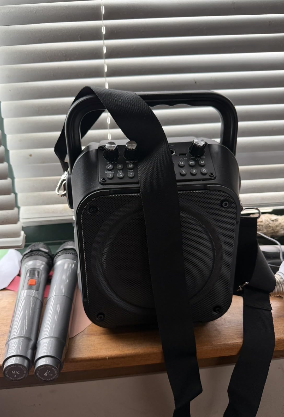 Karaoke Machine, Portable Bluetooth Speaker with 2 Wireless Microphones for Adults & Kids with Lights, Karaoke Microphone with PA System Supports USB/TF/REC/FM/AUX for Home Party Home System Packages customer photo 2