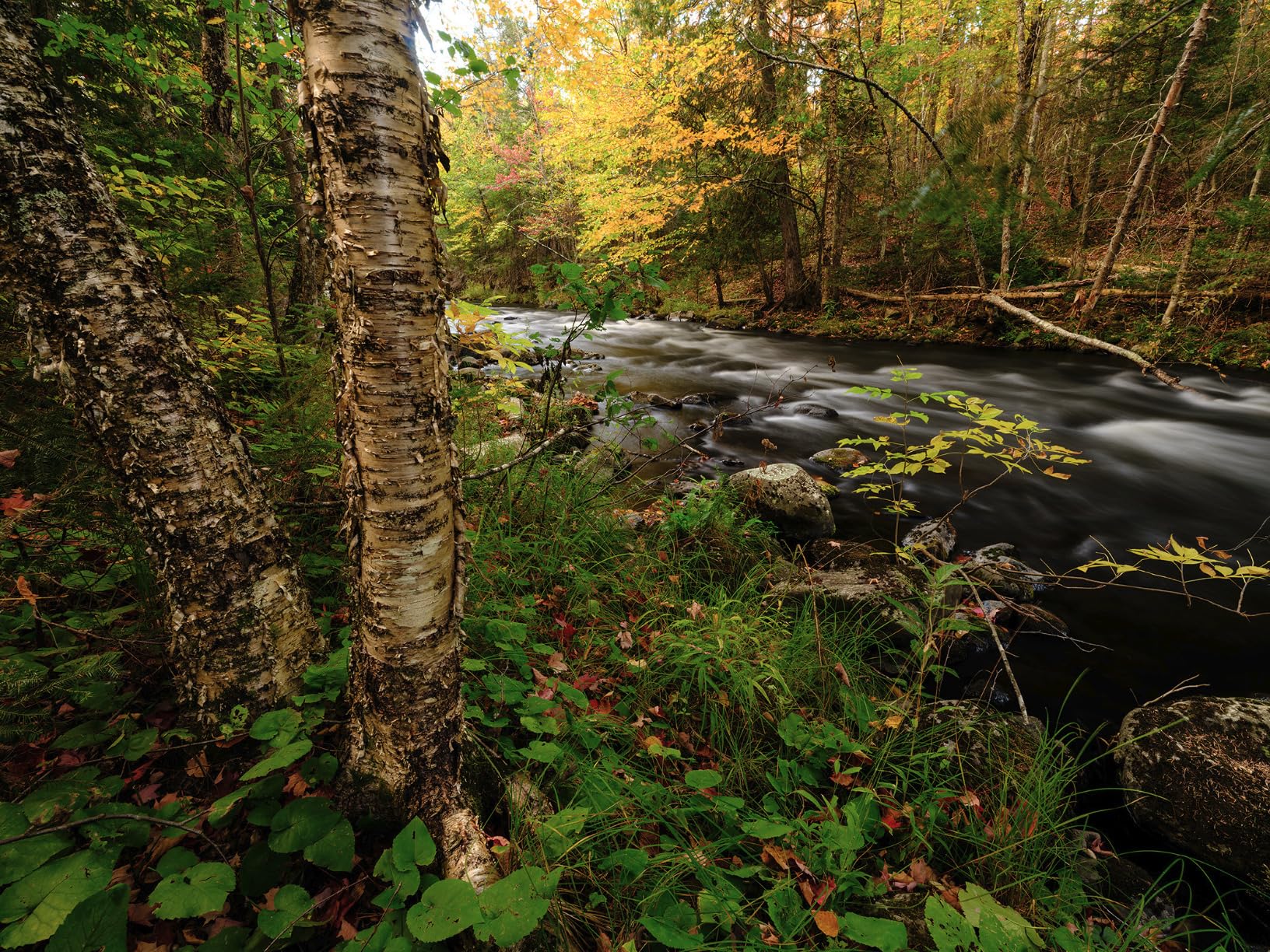 Fujifilm GFX100S II Medium Format Camera Body customer photo 1