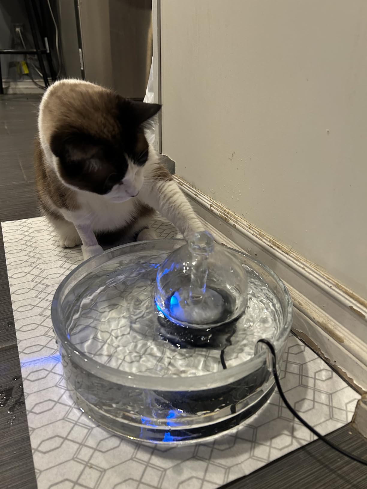 Brook Glass Pet Fountain (90oz/2.7L) - Cat & Dog Water Fountain - Glass Cat Fountain & Automatic Water Dispenser for Drinking customer photo 1