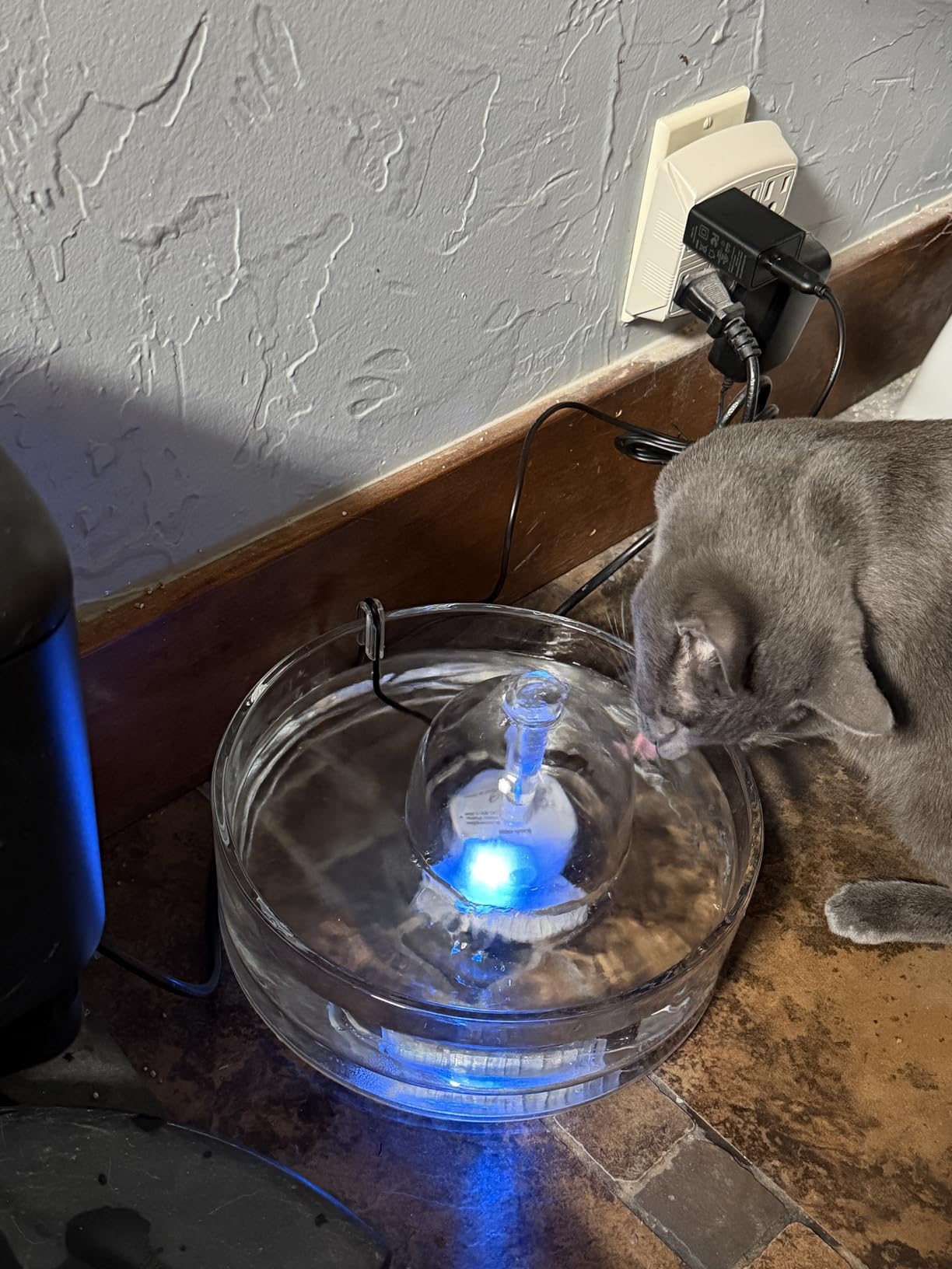 Brook Glass Pet Fountain (90oz/2.7L) - Cat & Dog Water Fountain - Glass Cat Fountain & Automatic Water Dispenser for Drinking customer photo 2