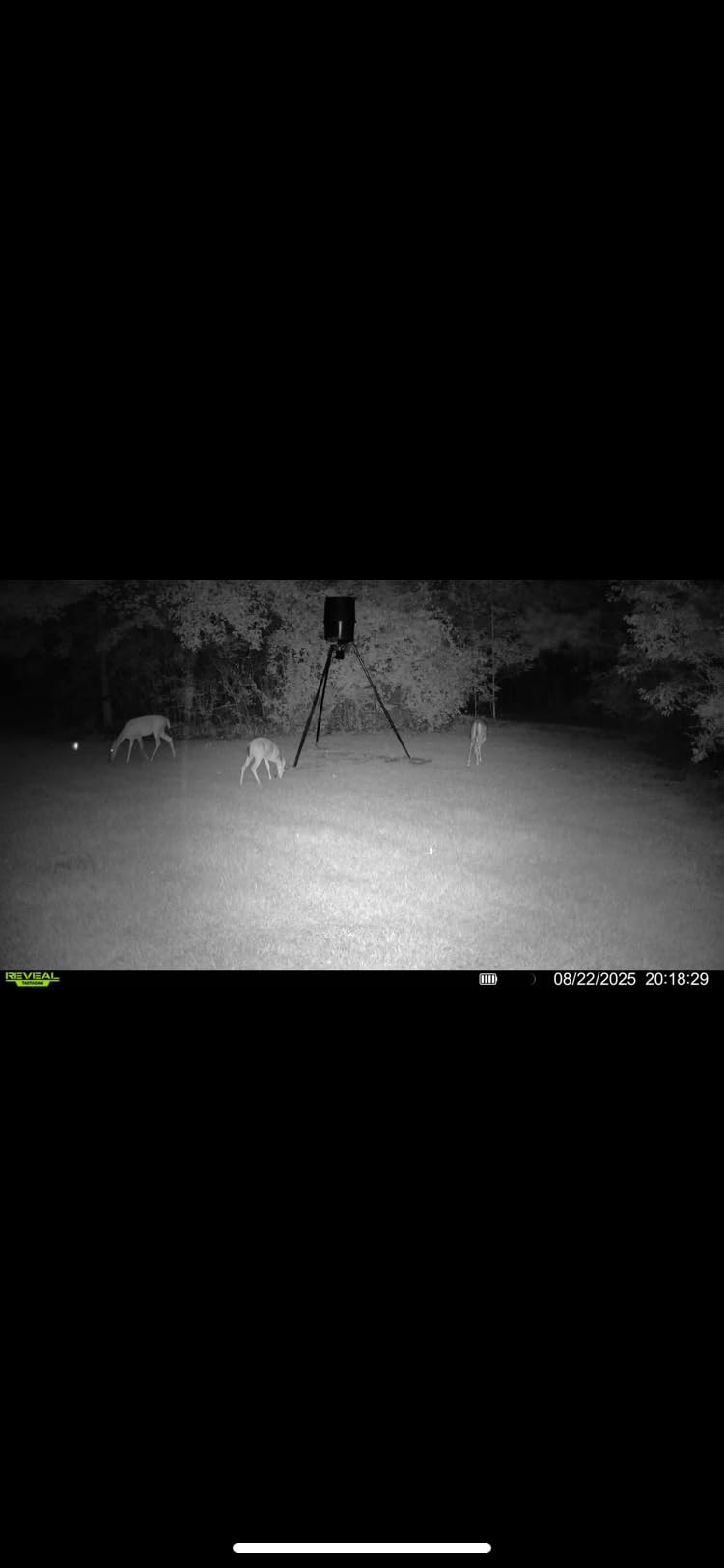 TACTACAM Reveal X Gen 3.0 Cellular Trail Camera: Auto Connect 4G LTE, 4K Photo, 1080p Video, Low-Glow IR Flash, No SD Card Needed, Long Battery Life - Best Hunting, Game & Property Monitoring Camera customer photo 1