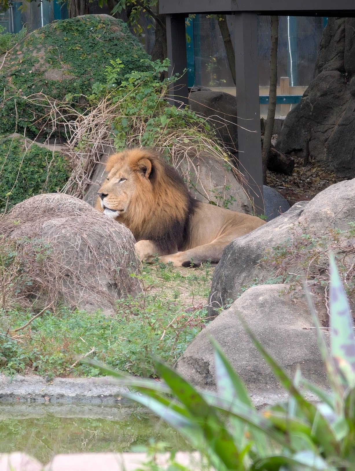 Google Pixel 9 Pro - Unlocked Android Smartphone with Gemini, Triple Rear Camera System, 24-Hour Battery, and 6.3
