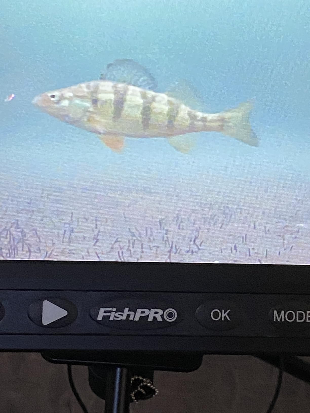 [FishPRO 2026 Upgrade] NO.1 HD 1080P Underwater Fishing Camera 7'' IPS- w/10,000mAh (Ease to Use) N/DVR Ice Fishing Camera, Fish Finder Camera for Ice Lake Boat Fishing w/USB-C, LED+IR, 82ft customer photo 1