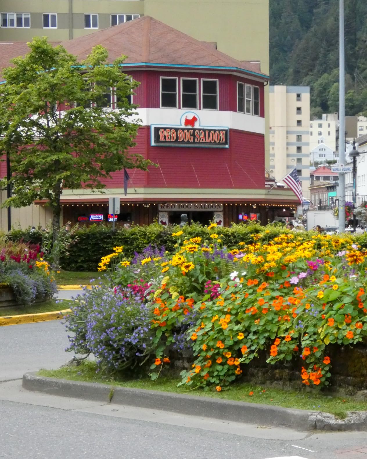 Panasonic LUMIX FZ80D Point and Shoot Digital Camera 4K Photo/Video Recording with Power Optical Image Stabilizer, Vlogging Camera with 60X Optical Zoom & 20-1200mm Wide-Angle Lens - DC-FZ80D customer photo 1