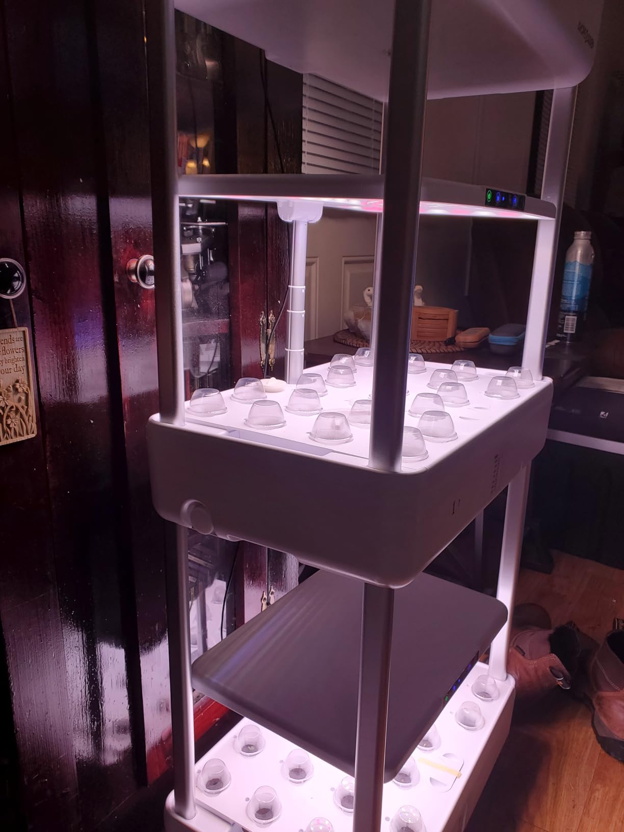 Ahopegarden Indoor Garden Hydroponics Growing System Kit: 66 Pods Plant Herb Garden Germination Kit with LED Grow Light, 30L Large Capacity Kitchen Hydroponics Planter customer photo 1