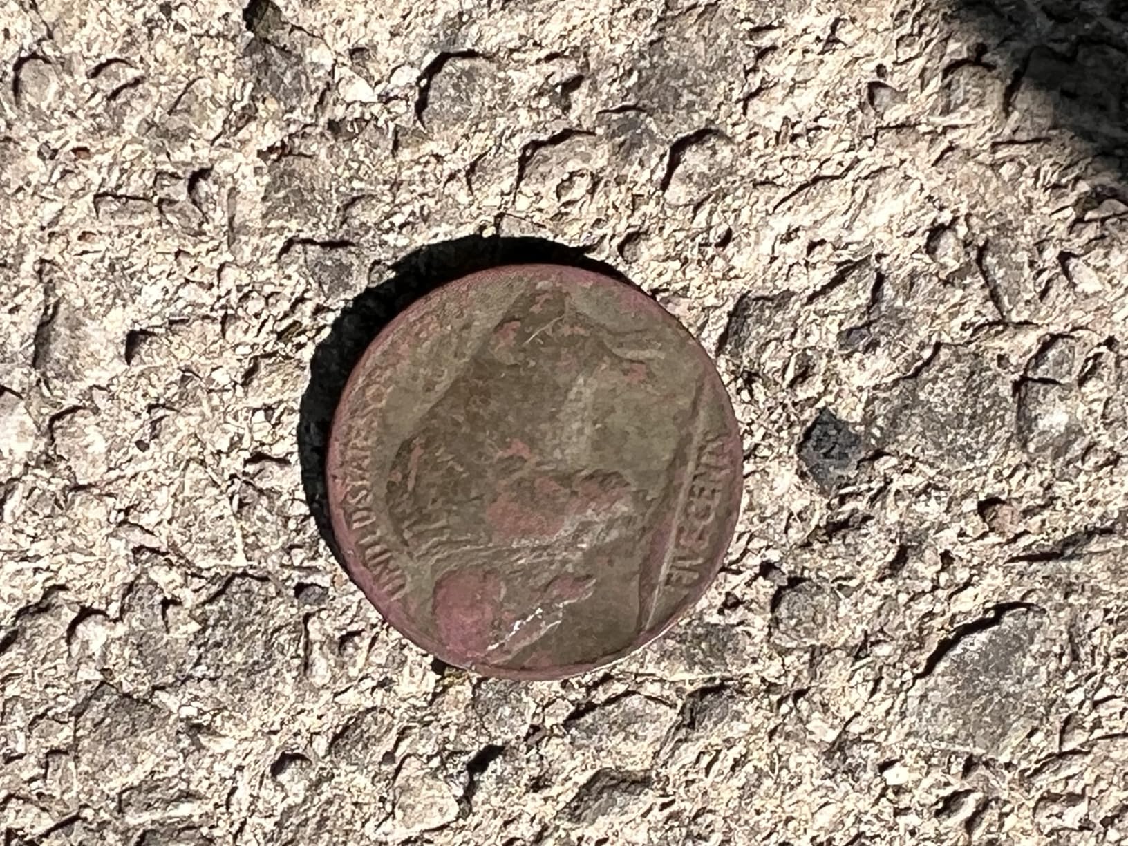 SAKOBS Metal Detector for Adults Professional - 2.7 lbs Lightweight Foldable Gold Finder with 11