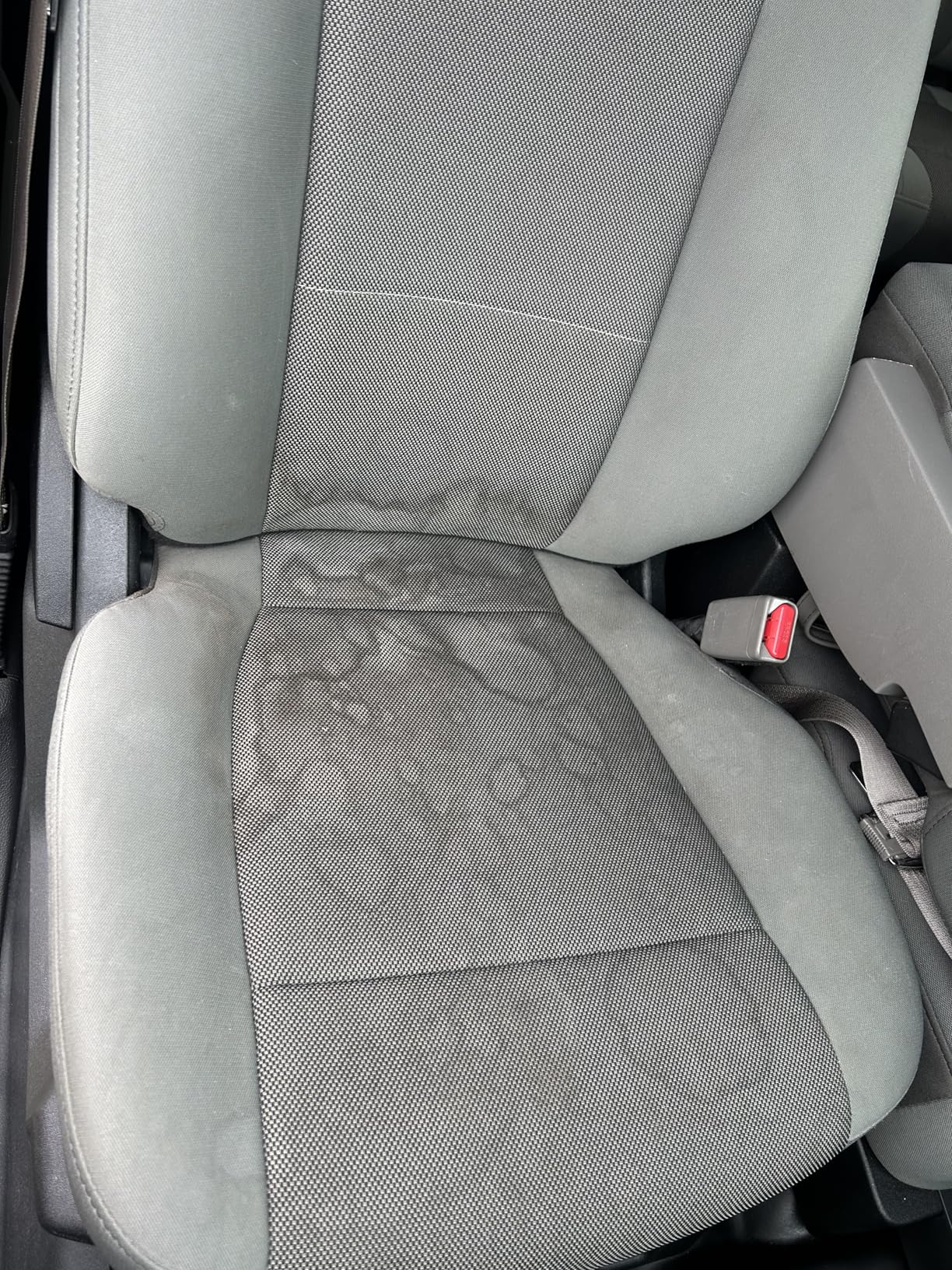Shark StainStriker HairPro Portable Carpet, Upholstery & Area Rug Cleaner with Pet Mess & Hair Tools, Self-Cleaning, Perfect for Pets & Car Interiors, 4 Cleaning Tools & Pet Solution, Copper, PX251 customer photo 2