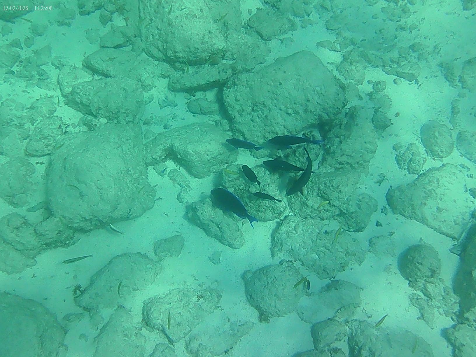 4K 60FPS Action Camera with 64GB Card-48MP Waterproof Camera,40M Underwater Camera,8X Zoom,EIS Stabilization,WiFi,Remote Control,MotorcycleCamera with 2 Rechargeable Batteries customer photo 2